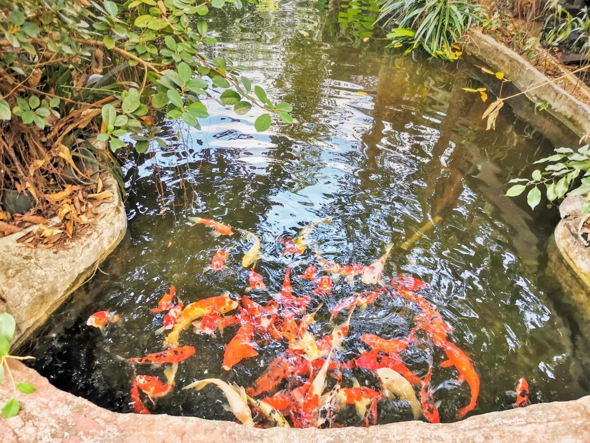 Oyo 604 Ruen Mai Horm Resort Trang Luaran gambar